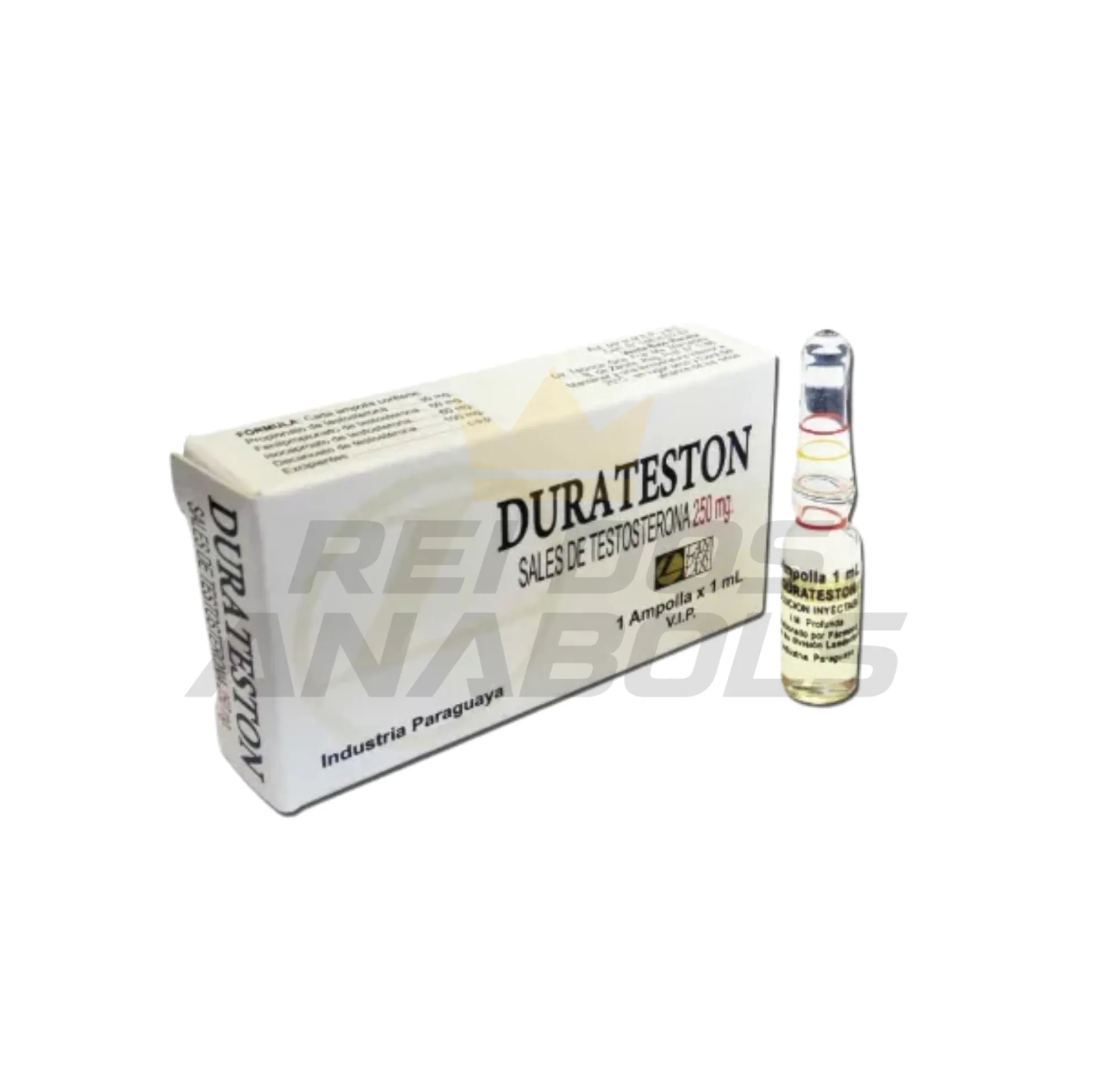 Duratestoland 1mL (4 sais de testosterona 250mg) - Landerlan